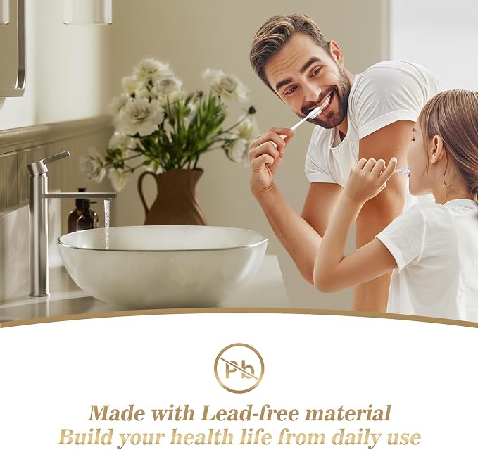 Brushed Nickel Tall Bathroom Vessel Sink Faucet, Single Hole Single Handle Modern Bathroom Faucet, with Pop Up Drain and Water Supply Line, FH02-BN-V