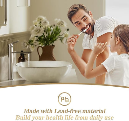 Brushed Nickel Tall Bathroom Vessel Sink Faucet, Single Hole Single Handle Modern Bathroom Faucet, with Pop Up Drain and Water Supply Line, FH02-BN-V