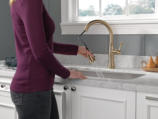 Delta Faucet Cassidy Gold Kitchen Faucet, Kitchen Faucets with Pull Down Sprayer, Kitchen Sink Faucet, Gold Faucet for Kitchen Sink with Magnetic Docking, Lumicoat Champagne Bronze 9197-CZ-PR-DST