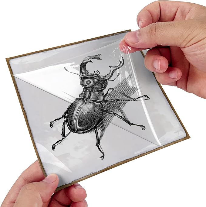 Alwayspon Vinyl Sticker Peel and Stick, Self-Adhesive Wall Tile Transfers Backsplash Sticker Decal for Kitchen Bathroom, 6x6inch/15x15cm 10Pcs, Insects T035