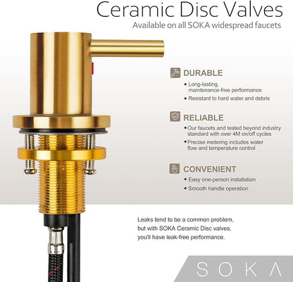 SOKA SK1B001AR Bathroom Sink faucets, 8 INCH Gooseneck - Lever, Gold + G