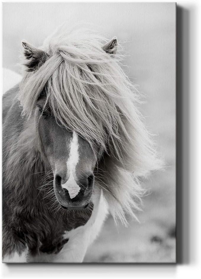 Renditions Gallery Animal Canvas Wall Art Home Paintings & Prints Rustic Vintage Horse Modern Decorations Black & White Wall Hanging Artwork for Bedroom Office Home Kitchen - 18"x27" LT02