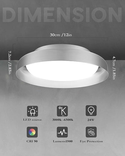 Ken & Ricky Flush Mount Ceiling Light Fixture, Led Dimmable 24w for Bedroom Kitchen Bathroom Laundry Hallway Entryway,Remote Control (Brushed Nickel,12Inch,1PK)