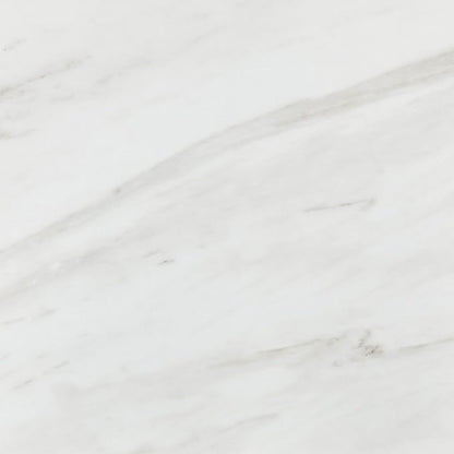 Daltile Perpetuo 24" x 24" Marble Look Porcelain Floor Tile in Polished Timeless White for Kitchen, Bathroom, Living Room Floors | (4 PC Per Carton) (15.2 SQFT Per Carton)