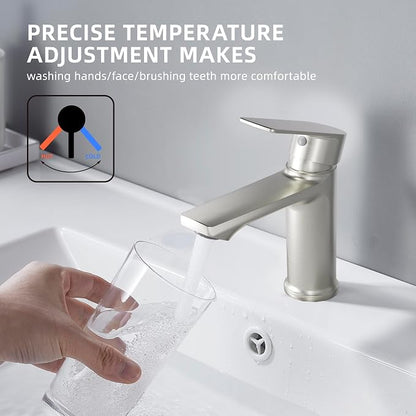 BELZ Nickel Bathroom Faucet 2 Sets,Lead-Free Single Hole Vanity Sink Faucet | NSF372 Certified, Anti-peeling PVD Nickel Finish, Water-saving & Anti-splash, Single Handle Modern Design with Hot/Cold Hoses