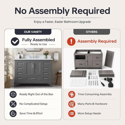 48 Inch Fully Assembled Bathroom Vanity with Sink, Grey | Solid Wood, Quartz Top & Backsplash, Soft-Close Doors, Dovetail Drawers, Large Storage, Modern Farmhouse Bath Upgrade