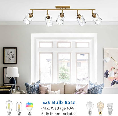 MELUCEE 5-Light Track Lighting Kit Brass Semi Flush Mount Ceiling Light Fixture with 5 Rotatable Light Heads, Modern Accent Lighting for Foyer Art Wall Kitchen, Clear Glass Shade