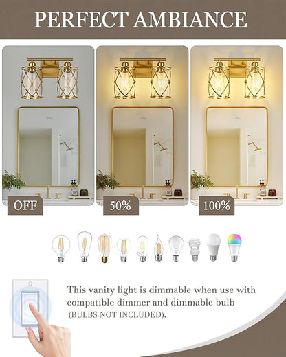 2-Light Brushed Gold Bathroom Light Fixtures, 13.8 Inch Modern Bathroom Vanity Lighting Fixtures Over Mirror with Clear Glass and Metal Cage Wall Sconce Lights for Bath, E26, CH9176BG-2W