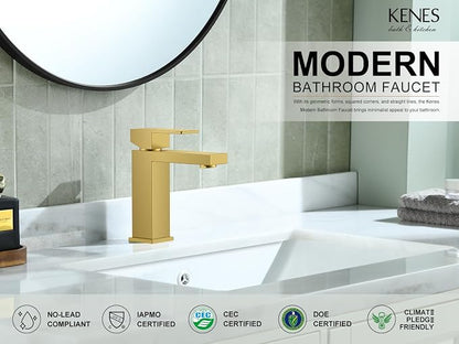 Brushed Gold Bathroom Faucet Single Hole, Single Handle Vanity Faucet | Bathroom Sink Faucet with Pop Up Drain & Supply Lines, Lead-Free cUPC & NSF Certified, 1 Handle Faucet for Vanity RV Restroom
