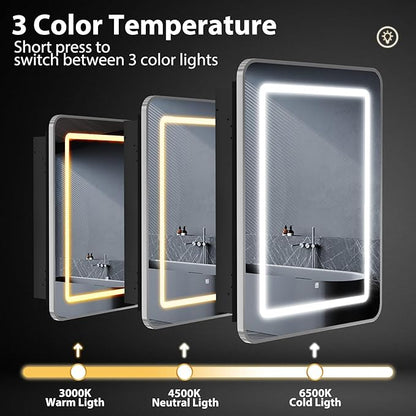 ROOMTEC Lighted Medicine Cabinet with Mirror 20"x30", Wall Mounted Bathroom Mirror with Storage, Single Doors Bathroom Wall Cabinet with LED Lights,Silver