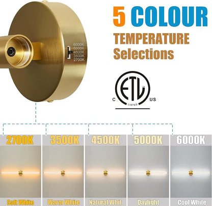 Gold Wall Sconces Set of 2 Hardwired LED Vanity Light 39"