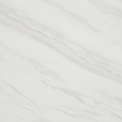 Daltile Perpetuo 24" X 24" Porcelain Marble Look Floor Tile in Matte Timeless White (4 pieces per carton) (15.20 sqft per carton)