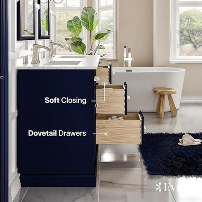 Eviva Epic Blue 60 inch Bathroom Vanity with Sink - Porcelain Round-Bathroom Vanity Double Sink-Solid Wood 60" Vanity Bathroom Sink- Double Vanity Sink Cabinet