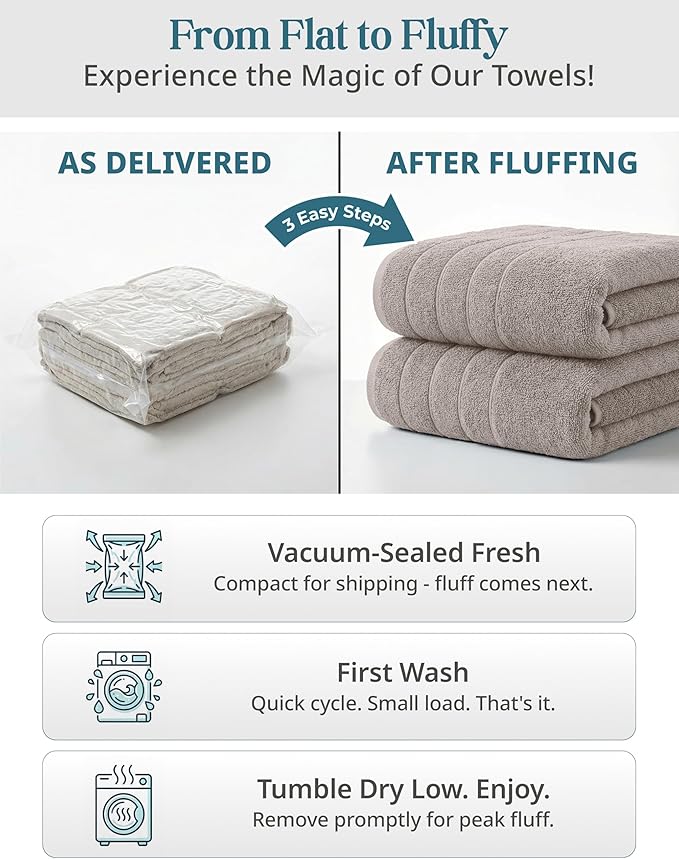Casa Platino Bath Sheets 4 Pack (36"x 72"), 100% Ring Spun Cotton Bathroom Towels, Soft Absorbent Bath Sheet Sets, Quick Drying Towels - Platinum