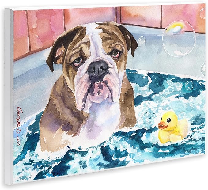 Stupell Industries 'English Bulldog In Bathtub Rubber Duck Bubbles', Wall Plaque Art, 15 x 10 Inches, Easy to Hang and Sturdy, Made in USA, by George Dyachenko