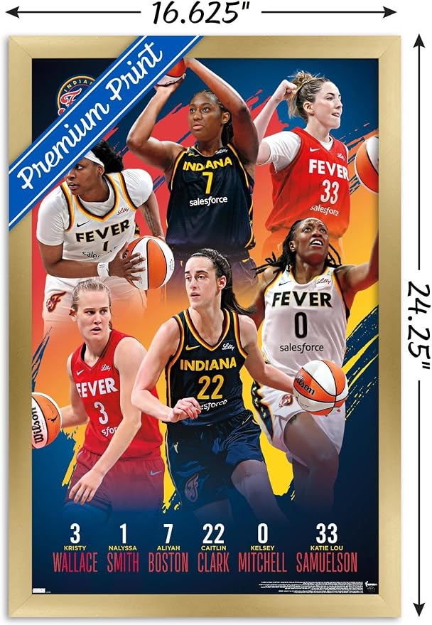 Trends International WNBA Indiana Fever -Team 24 Wall Poster, 22.4L x 14.7W, Gold Framed Version