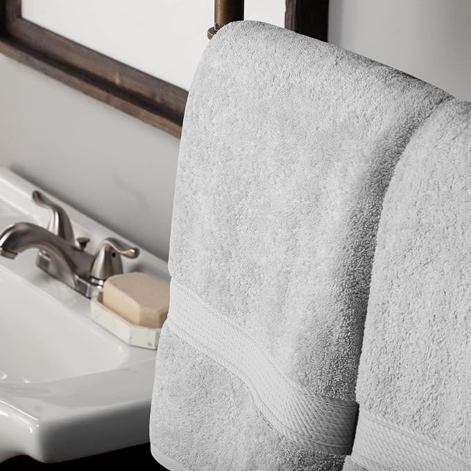 Superior Egyptian Cotton Ultra Plush & Absorbent, 10 Piece Set, Silver | Quick Dry, Soft Luxury Towel Set, Bath Essentials, Guest Bath, Spa, 2 Bath, 4 Hand, 4 Face Towels, Madeline Towels