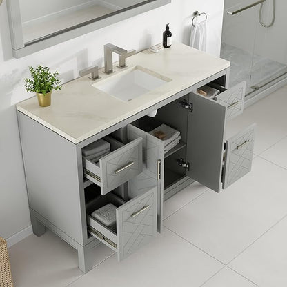 Eviva Cambridge 48 in. Gray Single Sink Bath Vanity with Quartz Top and Undermount Porcelain Sink
