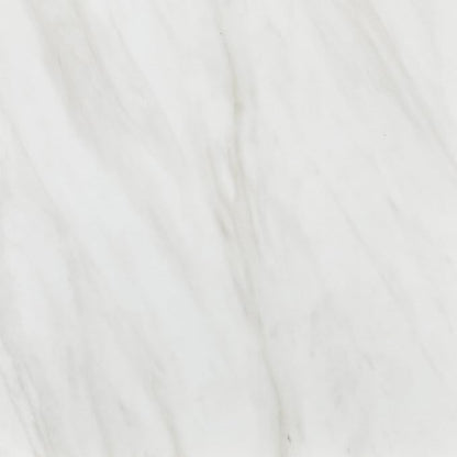 Daltile Perpetuo 24" x 24" Marble Look Porcelain Floor Tile in Polished Timeless White for Kitchen, Bathroom, Living Room Floors | (4 PC Per Carton) (15.2 SQFT Per Carton)