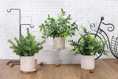 Der Rose 3 Pack Fake Plants Mini Faux Plants for Shelf Classroom Decor | Green eucalyptus, eco-friendly paper pulp pot, adjustable stems, pet child safe, office desk kitchen bathroom decor