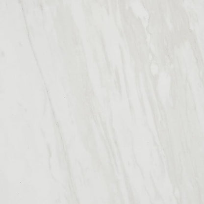 Daltile Perpetuo 12" X 12" Porcelain Marble Look Floor & Wall Tile in Polished Timeless White (13 pieces per carton) (12.22 sqft per carton)