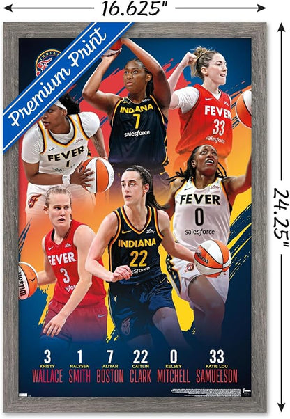 Trends International WNBA Indiana Fever -Team 24 Wall Poster, 22.4L x 14.7W, Barnwood Framed Version