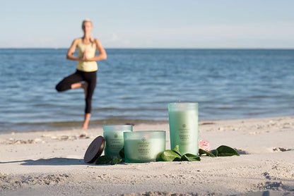 Chesapeake Bay Balance + Harmony Scented Candle Water Lily Pear Fragrance 50 Hours Burn Time Warm & Decorative Soy Wax Blend (Pack of 4)