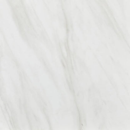 Daltile Perpetuo 12" x 12" Porcelain Marble Look Wall & Floor Tile in Matte Timeless White (13 pieces per carton) (12.22 sqft per carton)