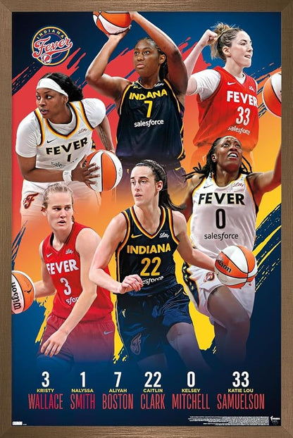 Trends International WNBA Indiana Fever -Team 24 Wall Poster, 34L x 22.4W, Bronze Framed Version