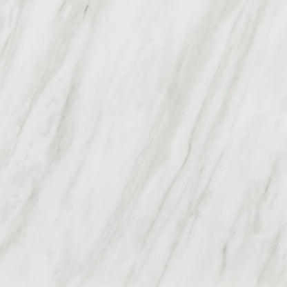 Daltile Perpetuo 12" x 12" Porcelain Marble Look Wall & Floor Tile in Matte Timeless White (13 pieces per carton) (12.22 sqft per carton)