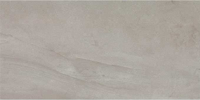 Daltile Wanderwise 12 x 24 Glazed Porcelain Floor Tile (9 PC Per Carton) (17.60 SQFT Per Carton)