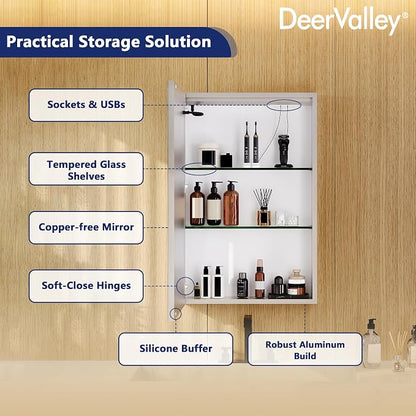 DeerValley 24" W x 36" H Led Lighted Medicine Cabinet with Mirror | Bathroom Medicine Cabinet with Defogger & 3-Color, Wall Mounted Mirrored Medicine Cabinets with Lights, DV-1VM0187