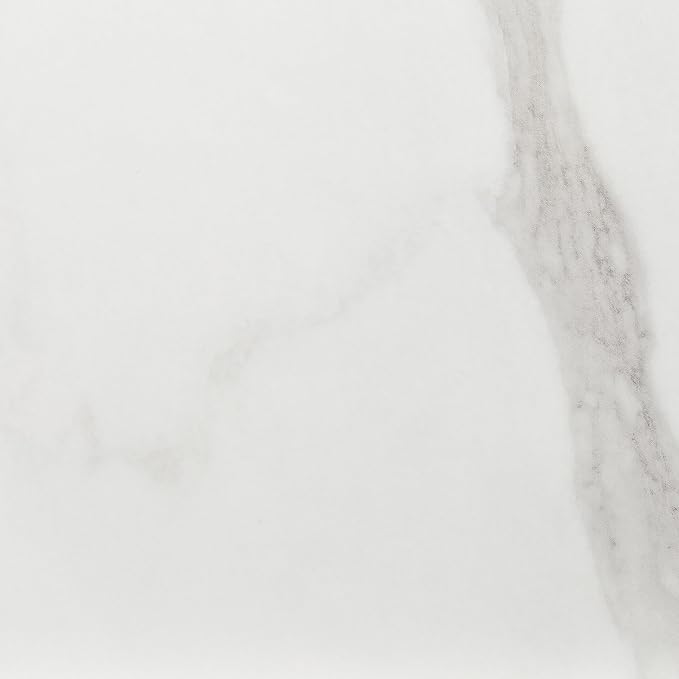Daltile Perpetuo 24" X 24" Porcelain Marble Look Floor Tile in Matte Brilliant White (4 pieces per carton) (15.20 sqft per carton)