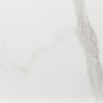 Daltile Perpetuo 24" X 24" Porcelain Marble Look Floor Tile in Matte Brilliant White (4 pieces per carton) (15.20 sqft per carton)