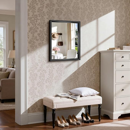 CIRCUMI 18"x24" Black Mirror with Chunky Box Metal Frame, Brushed Finish Rectangular Bathroom Mirrors for Over Sink, Living Room, Entryway, Tempered Glass Mirror for Wall, Vertical or Horizontal