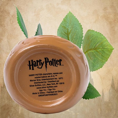 Silver Buffalo Harry Potter Mandrake Face, Artificial Faux Planter | Decorative, Greenery Plant in, Ceramic Pot