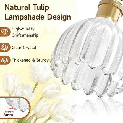 Vintage Bathroom Light Fixtures,2-Light Rustic Vanity Lights for Bathroom,Hallway,16.5 in Brass Vanity Lights,Tulip Light Fixtures for Mirror with Clear Tulip Glass Shade for Bedroom,E26 Base