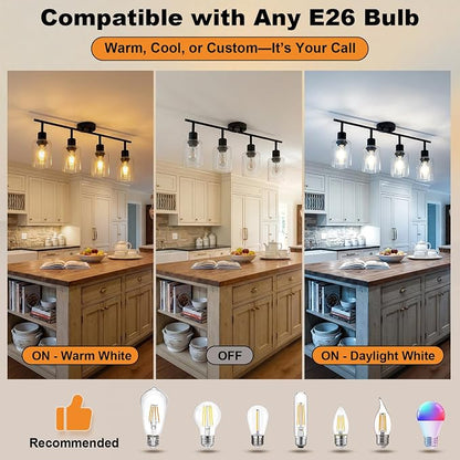 HiBay 4-Light Black Track Lighting Fixture Rotatable Ceiling Wall Spotlight | Adjustable 4 Heads with Glass Shades, Modern Farmhouse Industrial, for Kitchen, Dining Room, Bathroom, E26 Base