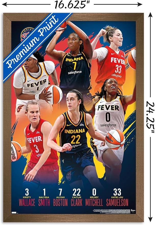 Trends International WNBA Indiana Fever -Team 24 Wall Poster, 22.4L x 14.7W, Bronze Framed Version