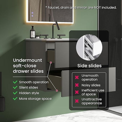 24" Bathroom Vanity with Sink, Modern Floating Vanity with Double Soft Closing Drawers, Large Storage for Small Space, Space Gray, Fully Assembled - Iris Collection