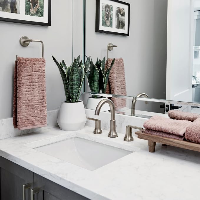 SKL Home CloudSoft Hand Towel Set, 2-Piece, 100% Cotton Luxury, Clay | Premium spa-level quality. 600 GSM weight. Ultra plush & absorbent. For use in the bathroom, kitchen, bar or any sink space.