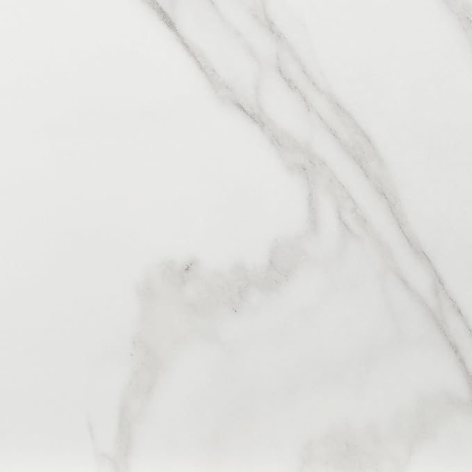 Daltile Perpetuo 24" X 24" Porcelain Marble Look Floor Tile in Matte Brilliant White (4 pieces per carton) (15.20 sqft per carton)
