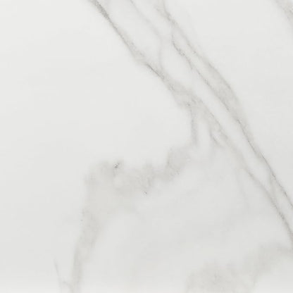 Daltile Perpetuo 24" X 24" Porcelain Marble Look Floor Tile in Matte Brilliant White (4 pieces per carton) (15.20 sqft per carton)
