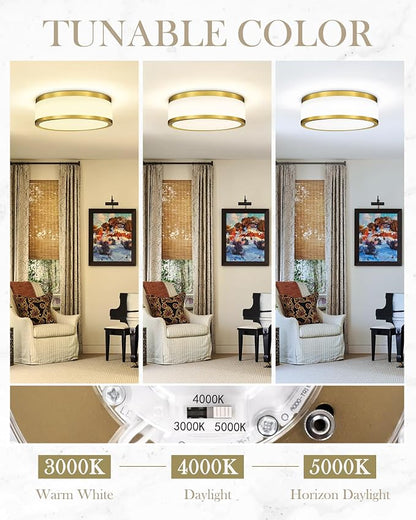 24W LED Flush Mount Ceiling Light, 15 inch 3CCT 3000K/4000K/5000K, Brushed Gold Close to Ceiling Light for Bathroom, Kitchen, Living Room, LMS-190