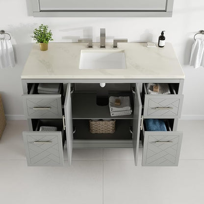 Eviva Cambridge 48 in. Gray Single Sink Bath Vanity with Quartz Top and Undermount Porcelain Sink