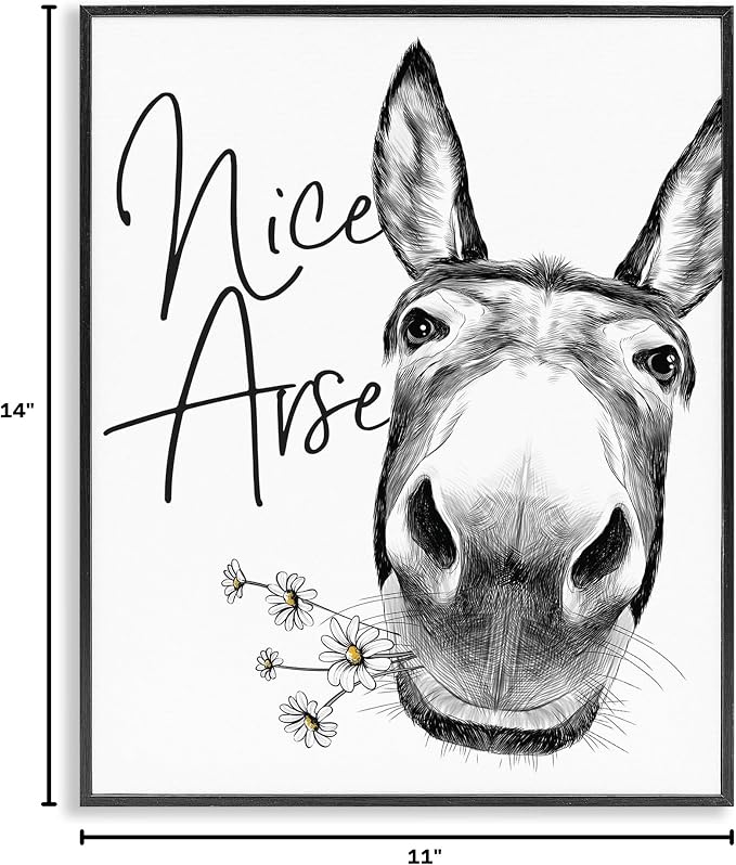 Stupell Industries 'Nice Arse Donkey Pun', Framed Giclee Art, Black, 11 x 14 Inches, Easy to Hang and Sturdy, Made in USA, by Lettered and Lined