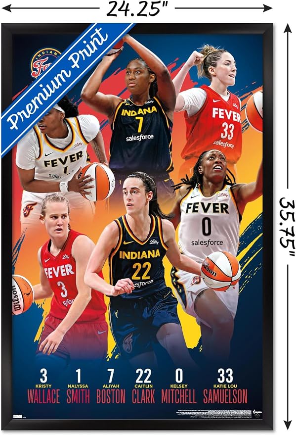 Trends International WNBA Indiana Fever -Team 24 Wall Poster, 34L x 22.4W, Black Framed Version
