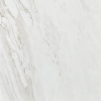 Daltile Perpetuo 24" x 24" Marble Look Porcelain Floor Tile in Polished Timeless White for Kitchen, Bathroom, Living Room Floors | (4 PC Per Carton) (15.2 SQFT Per Carton)