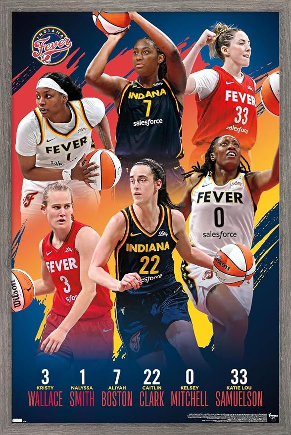 Trends International WNBA Indiana Fever -Team 24 Wall Poster, 34L x 22.4W, Barnwood Framed Version