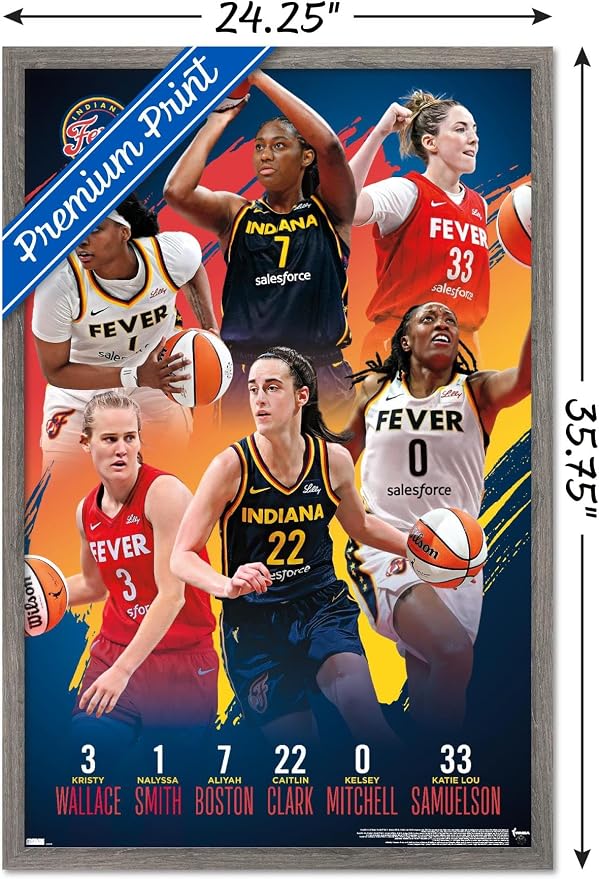 Trends International WNBA Indiana Fever -Team 24 Wall Poster, 34L x 22.4W, Barnwood Framed Version